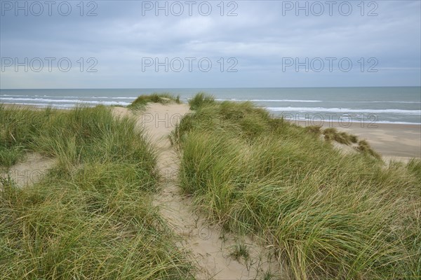 Footpath, Sand dune, Sea, Marram Grass, Clouds, Zandvoort, North Sea, North Holland, Netherlands