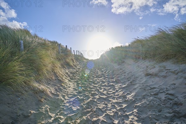 Beach access, sand dune, dune grass, wind, sun, morning, clouds, Zandvoort, North Sea, North
