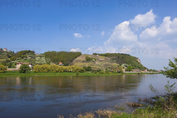 Elbe at the Boselspitze