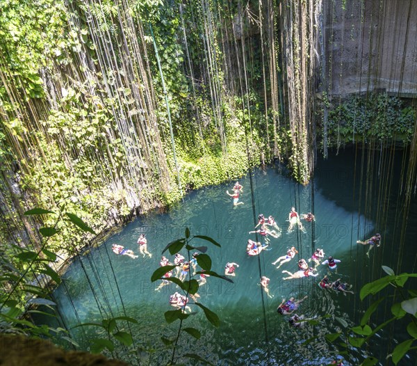 People swimming in limestone sinkhole pool, Cenote Ik kil, Pisté, Yucatan, Mexico, Central America