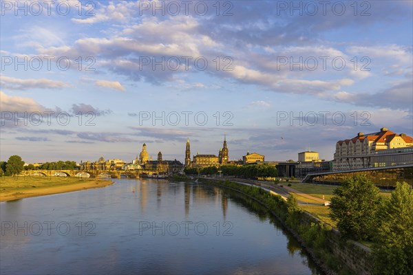 Elbe Meadows in the Old Town of Dresden with Silhouette