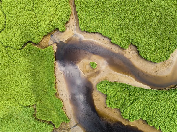 Top Down over Sharpham Meadows and Marsh over River Dart from a drone, Totnes, Devon, England,