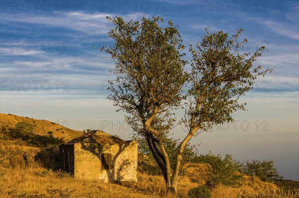 Small house, Fogo. Cabo Verde. Africa