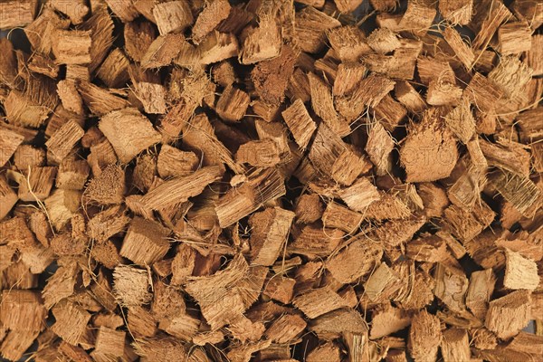 Top view of coconut fiber husks used for potting soil mix for plants or terrarium grounds