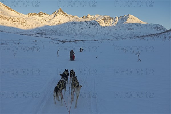 Winter dog sled ride near Tromso, Lapland, Norway, Europe