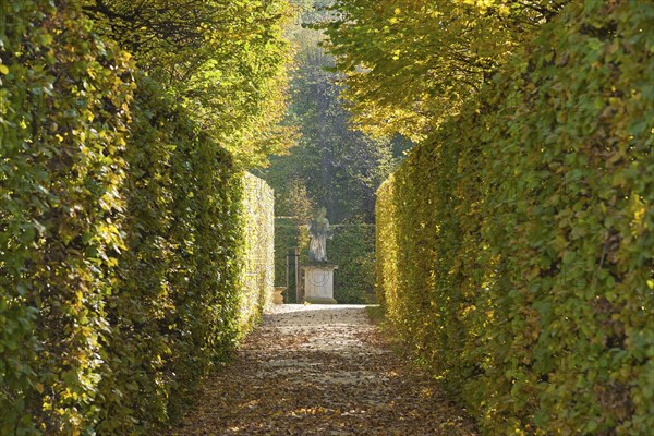 Grossedlitz Baroque Park
