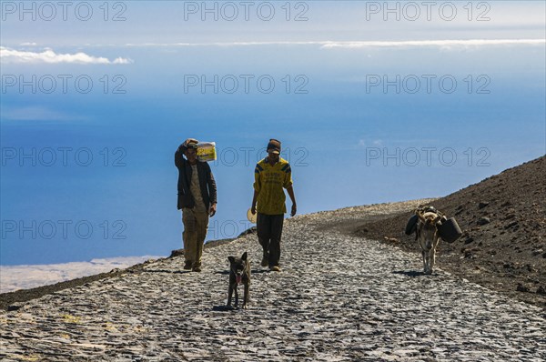 Natives with donkeys on paths around vulcano on Fogo. Cabo Verde. Africa