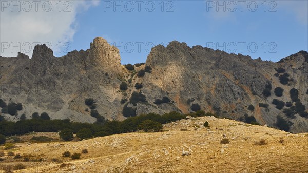 Bizarre mountain range, light and shade, trees, bare mountainside, Madonie National Park, autumn,