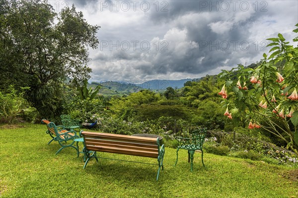 Old hacienda, Coffee farm Hacienda Venecia, Zona Cafetera, Colombia, South America