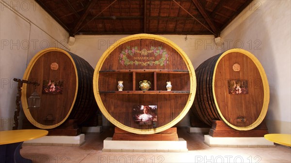 Three large wine barrels, artistically painted and used as wall decoration in a wine cellar, Donna