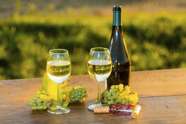 The wine-growing region of Saxony is one of the smallest and the most easterly wine-growing region