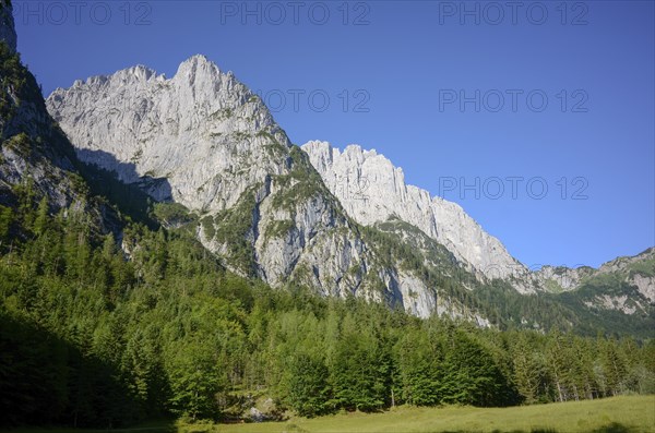 View from the Kaiserbachtal valley to the Mitterkaiser and Predigtstuhl (behind) in the Wilder