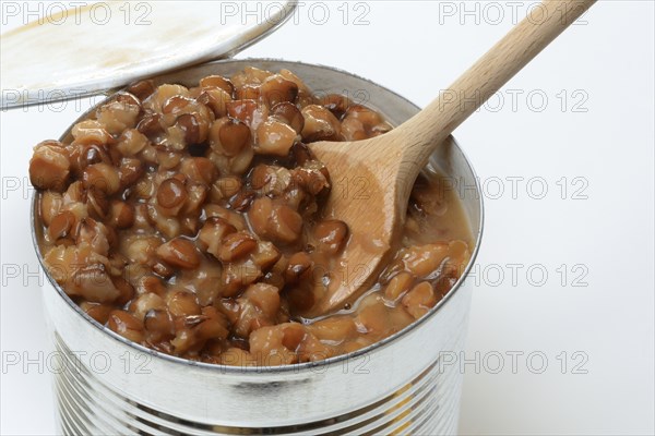 Lentil (Lens culinaris) dish in tin, lentil