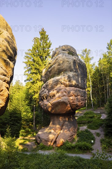 The Kelchstein is a mushroom rock in the Zittau Mountains near Oybin in Saxony and is part of the