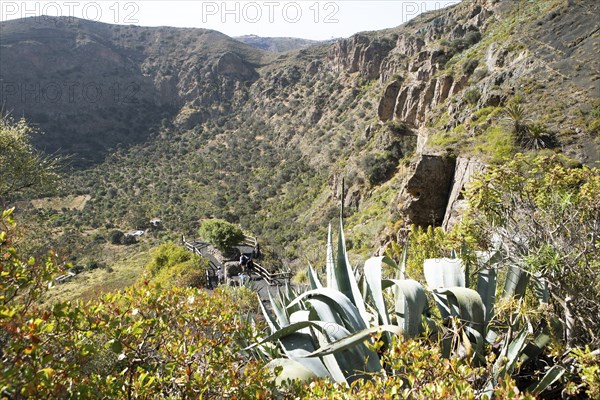 Caldera de Bandama in the Bandama Natural Park or Monumento Natural de Bandama, Las Palmas