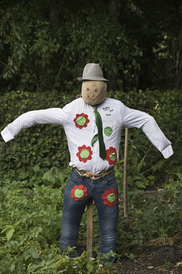 Scarecrow, Emsland, Lower Saxony, Germany, Europe