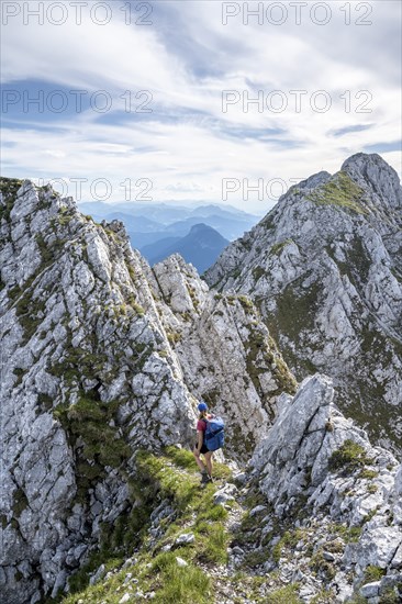 Mountaineer on a ridge path, traversing the Hackenköpfe, behind summit, Scheffauer, rocky mountains
