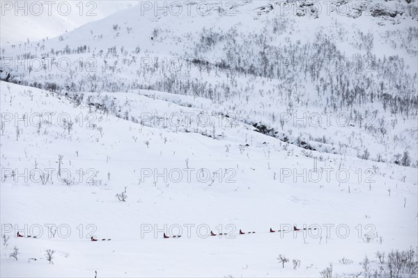 Husky dog sledding trip in wintry, mountainous landscape, Tromso, Troms og Finnmark, Norway, Europe