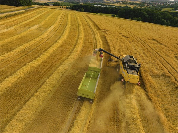 Grain harvest in a field near Babisnau on the outskirts of Dresden