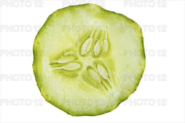 Close-up of a cucumber (Cucumis sativus) slice, on white