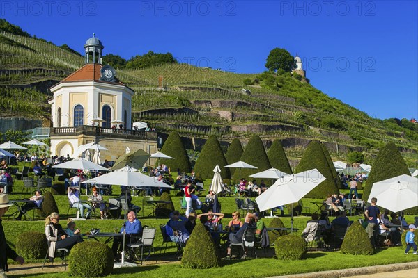 Winery Wackerbarth Castle