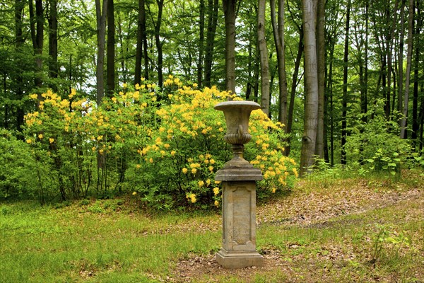 Gaussig Castle Park