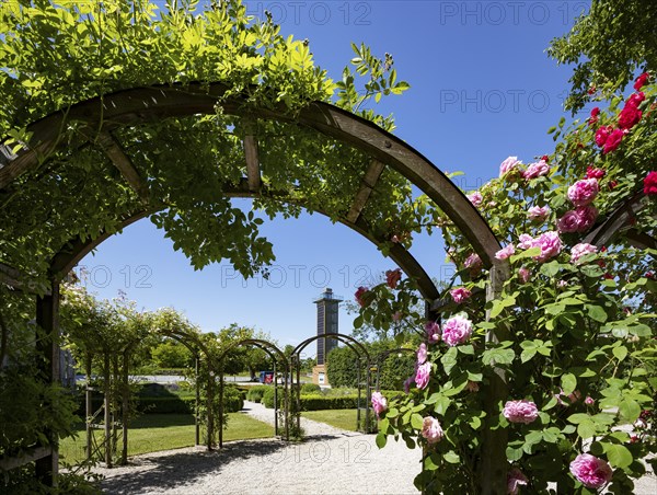 Rose garden in the Obernberg castle area with observation tower eINNblick, Obernberg am Inn,
