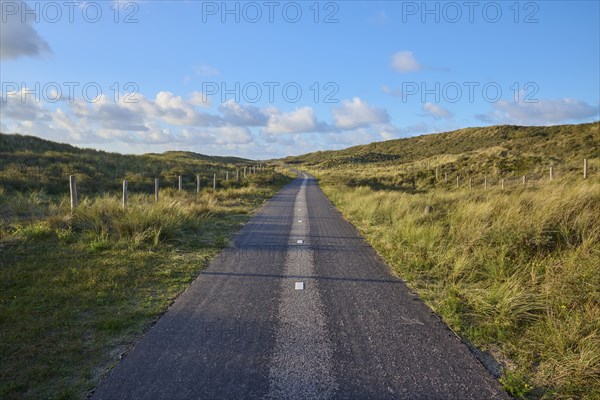 Bicycle path, sand dune, clouds, Amsterdam water pipe dunes, Zandvoort, North Sea, North Holland,