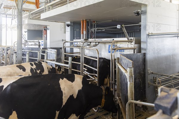 Winner of the Saxon State Competition for Animal-Friendly and Environmentally Compatible Husbandry
