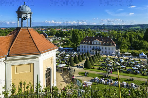 Winery Wackerbarth Castle