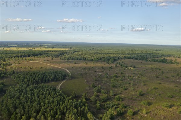Aerial view of the Osterheide during the heath blossom in the Lüneburg Heath. Schneverdingen, Lower