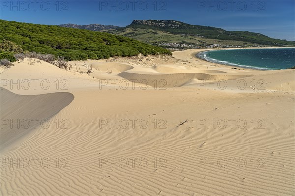 The beach and the dune of Bolonia, Tarifa, Costa de la Luz, Andalusia, Spain, Europe