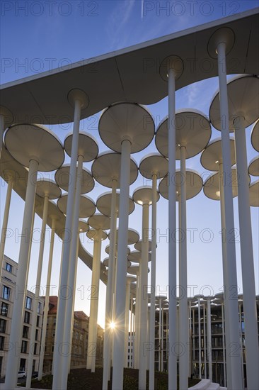 SAB Forum, designed by London-based architects ACME, 165 million euros. The Forum is a column