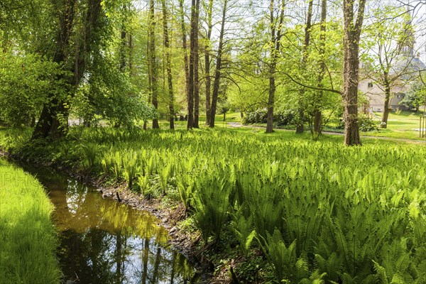 Schönfeld Castle Park Grossenhain