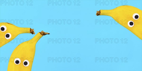 Banner with banana fruits with funny googly eyes on bright blue background with copy space