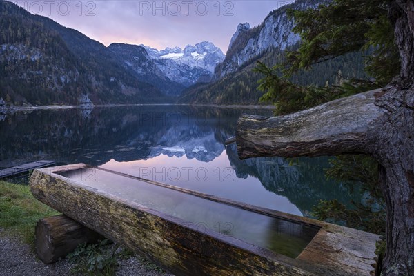The Vordere Gosausee lake in autumn with a view of the Dachstein mountain range. A water trough in