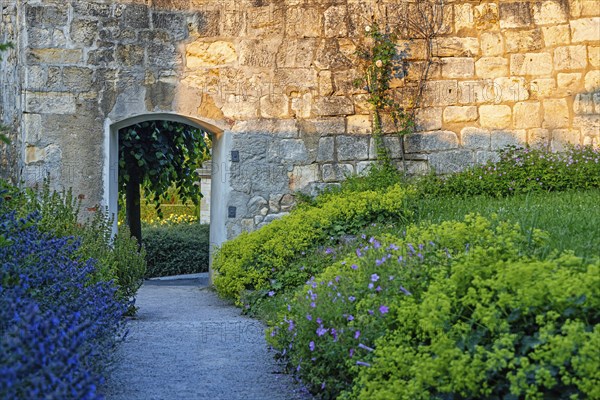Pictures from Blankenburg Castle Park