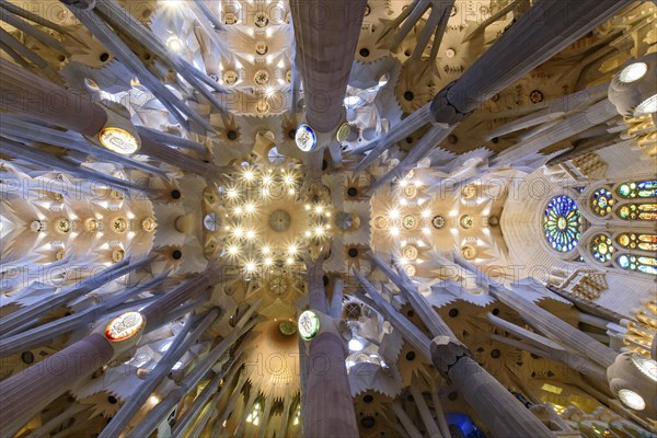 The ceiling of interior of Sagrada Familia (Church of the Holy Family), the cathedral designed by