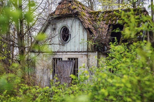 Old building in the forest witch's house