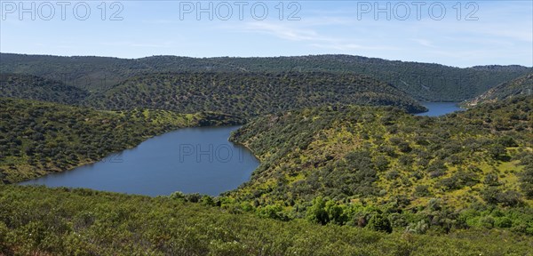 A calm river surrounded by green hills and rich vegetation under a clear blue sky, River Tiétar,