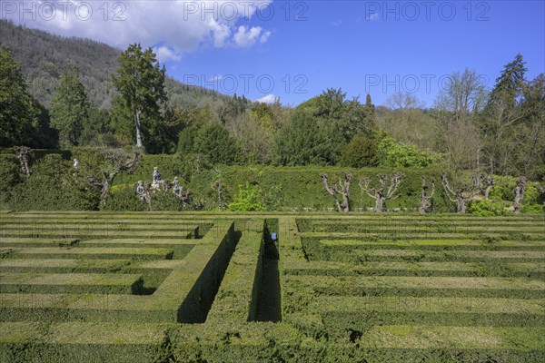 Labyrinth, garden of Villa Barbarigo, Valsanzibio, Galzignano Terme, Province of Padua, Italy,
