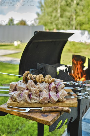 Marinated pork shashlik on skewer ready for outdoor barbecue