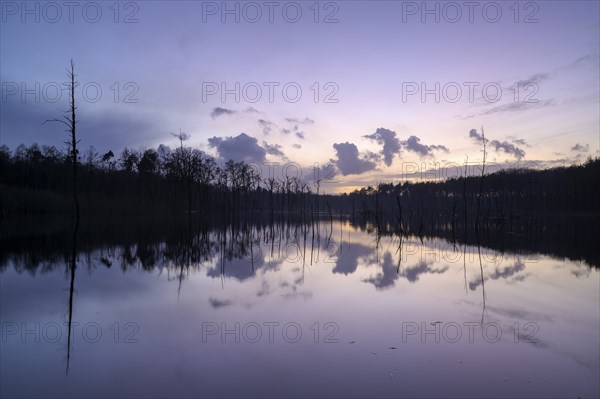Mountain subsidence area, in winter, at sunset, with reflection, Bottrop, Ruhr area, North