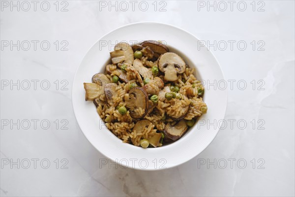Overhead view of a plate with rice with pork and champignon mushrooms