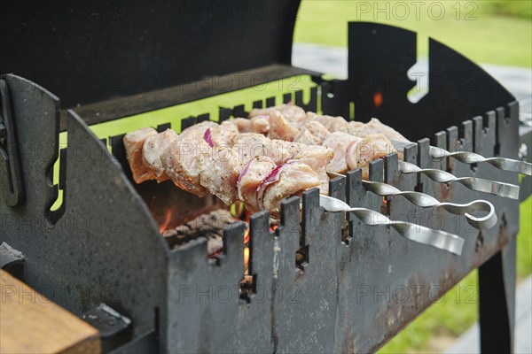 Cooking skewered pork meat on barbecue, close-up view