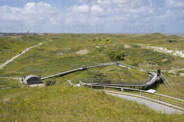 Boardwalk to the viewing dune, Lower Saxony Wadden Sea National Park, Norderney, East Frisian