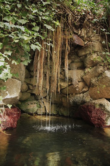 Water garden, niche made of natural stone, with greenery and small watercourse