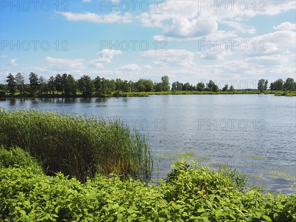View of a lake, Roermond, Netherlands
