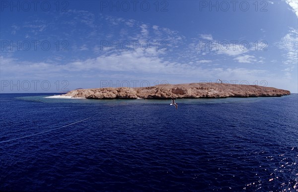 Rocky Island, Egypt, Red Sea, Africa