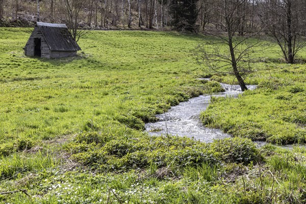 Natural course of the Selke stream in the Harz Mountains